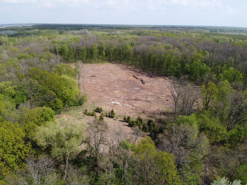 Commercial Lot Clearing