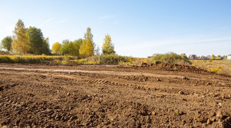 Ground Clearing in Utah County, UT