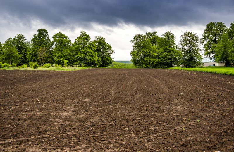 Terrain Clearing in Atlanta, GA
