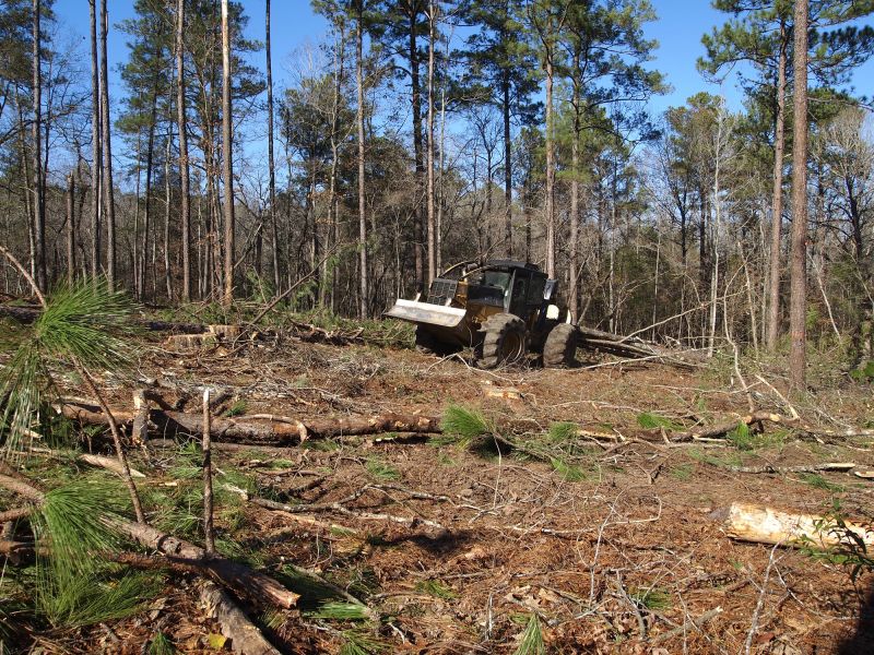 Professional Land Clearing Companies