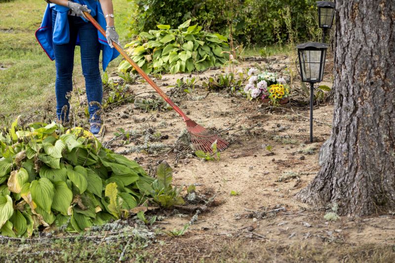 Environmental Clearing Services